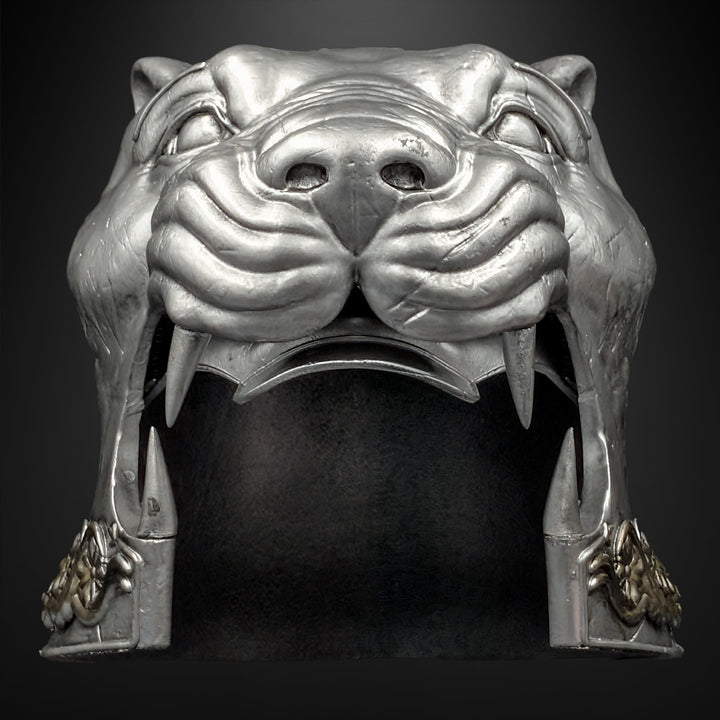 Tigris of Gaul Helmet